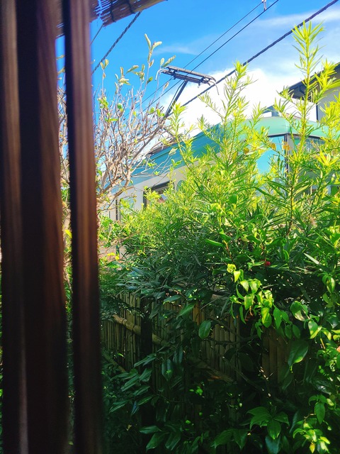 2021-10-18-13-39-20-376