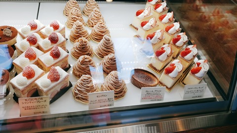 2021-02-21-11-10-28-332