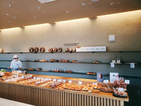 2020-10-30-13-22-31-513