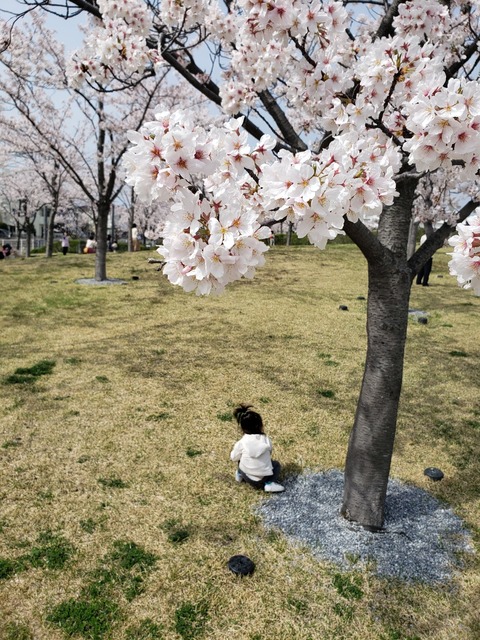 miteneba27d8c8-1630-4439-a82e-0e6746e283ea