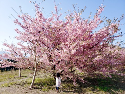 2020-02-24-14-04-11-914