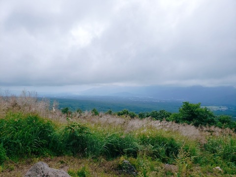 2020-09-02-11-42-38-605