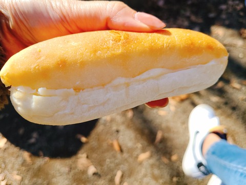 2021-12-11-12-18-48-020