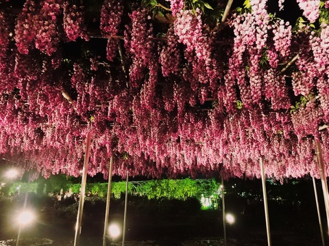 16-05-06-10-34-34-381_deco