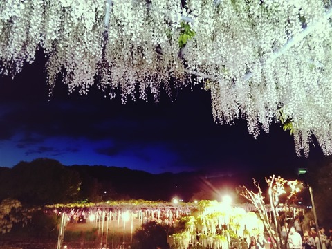 16-05-06-10-35-11-721_deco