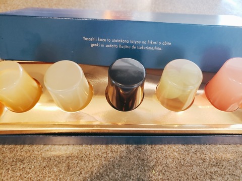 2020-08-17-13-19-42-009