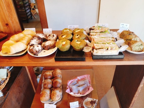 2020-02-11-10-39-32-398