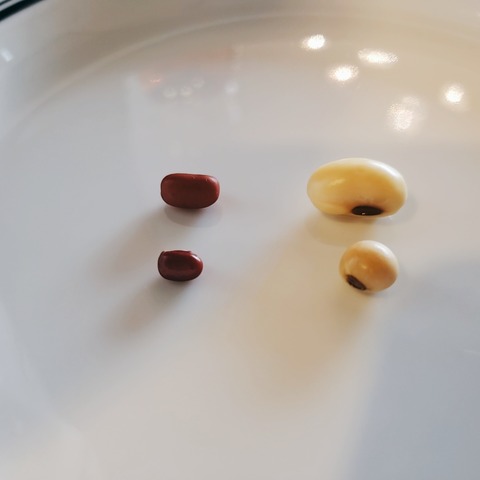 2021-02-01-09-27-07-568