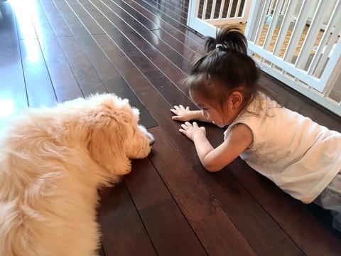 20210717_161426_capture