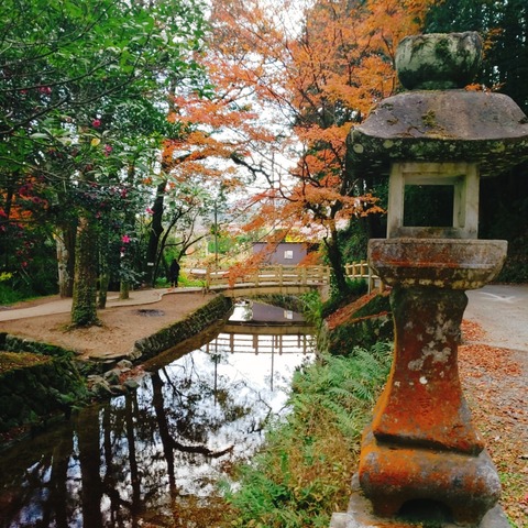 2020-12-11-14-30-30-417