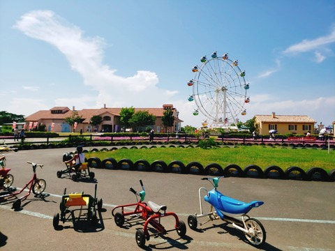 2020-08-22-13-48-12-834