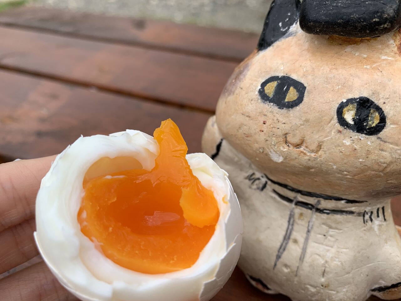 温泉たまご作り＠瀬波温泉 噴湯公園 : おいでよ。お米所にいがた(・∀・)