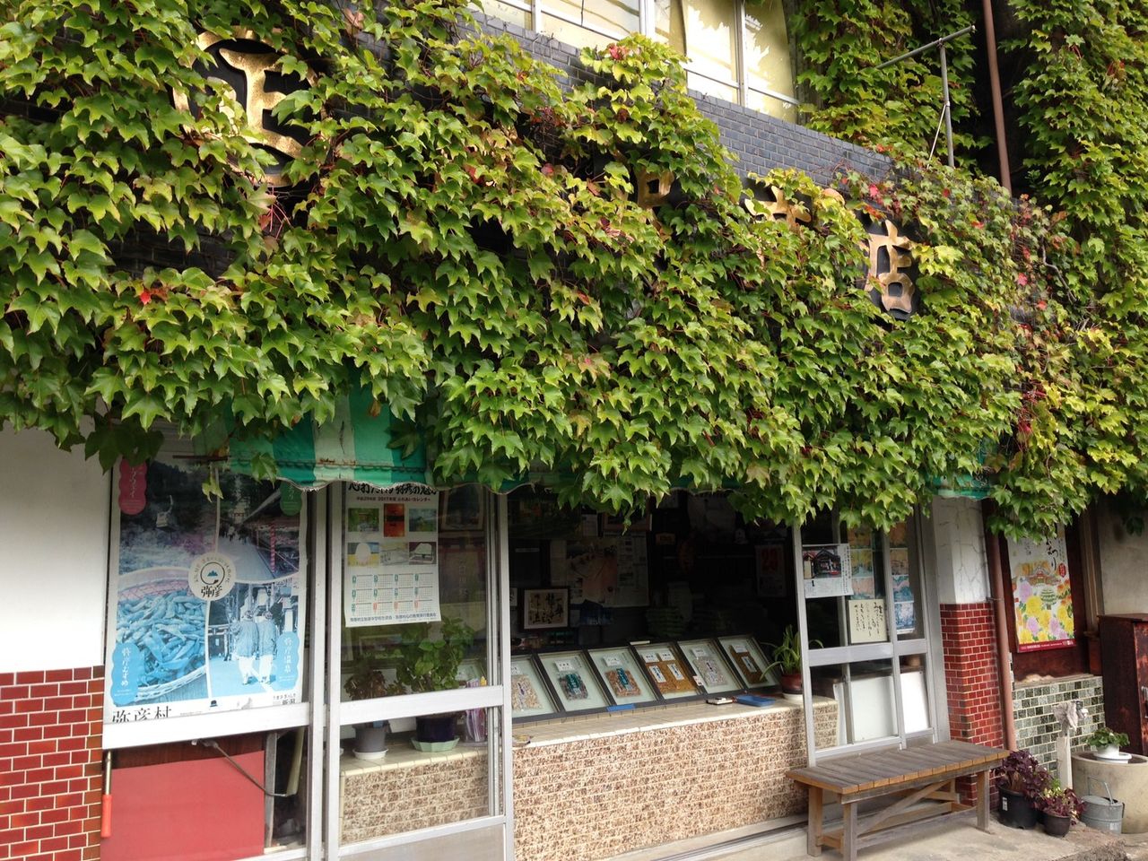 おやつ 成沢商店 カレー豆 おいでよ お米所にいがた おやつ 成沢商店 カレー豆 おいでよ お米所にいがた