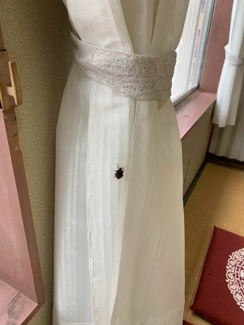 AB3D17C5-5335-462B-880D-2F547D6D73B9