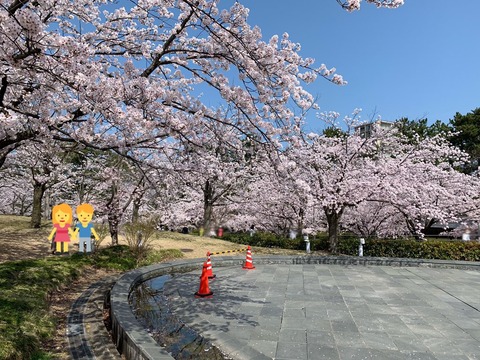 0A659129-627B-45C7-86B8-3693130736D1