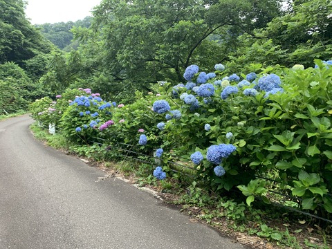 62416F77-BCD5-443A-80B0-93F47AB8C1C3