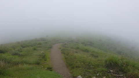 RIMG0842