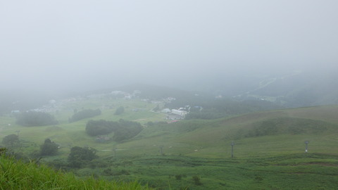 RIMG0890