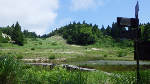 RIMG0845