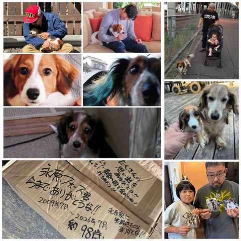 IMG_1978