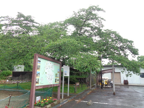 DSC02390 - コピー