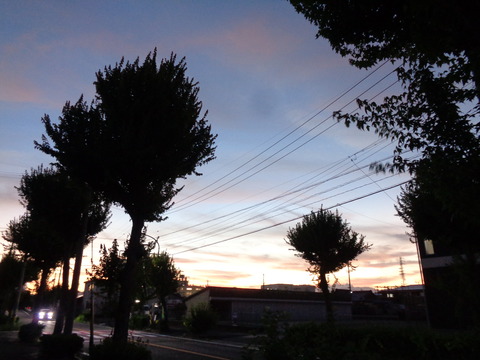DSC02582
