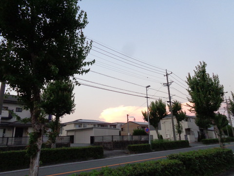 DSC02489