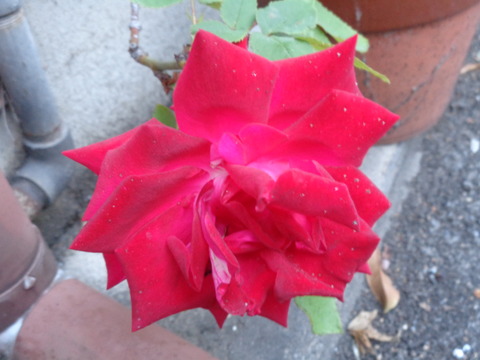 DSC02200