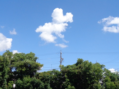 DSC02580