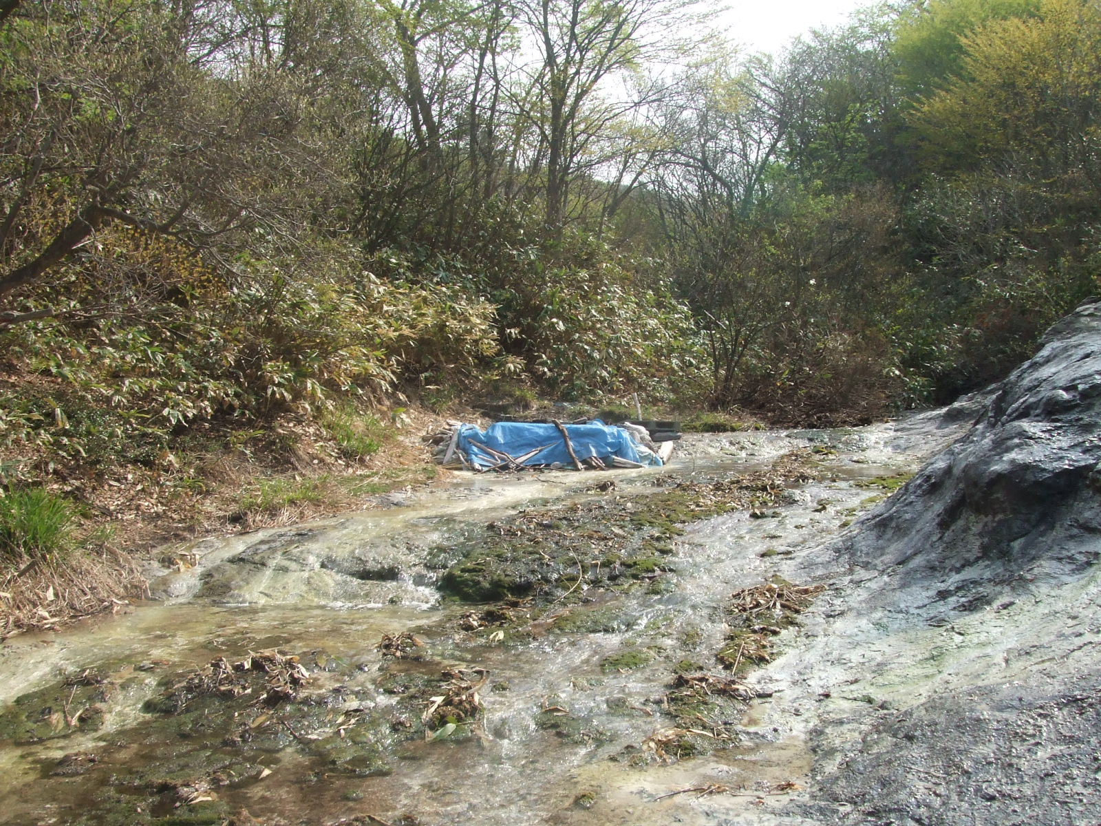 野湯