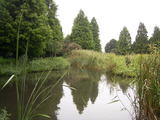 雨上がりの川口自然公園(2)