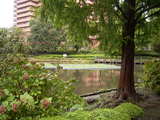雨上がりの川口自然公園(1)