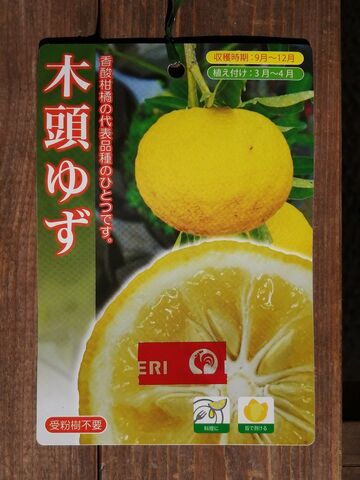 ゆずの苗木を植える 古民家と薪ストーブ ゆずの苗木を植える 古民家と薪ストーブ