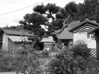 P1000403-1