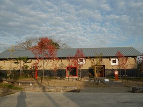 P1000522