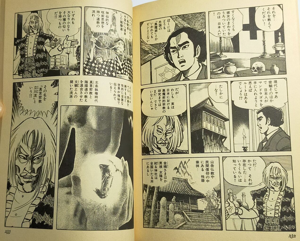 蓮華伝説 上巻 : 木漏れ日に揺れている