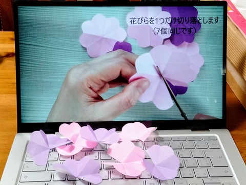 IMG20210610232036~2