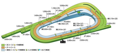 京都競馬場 コース 1