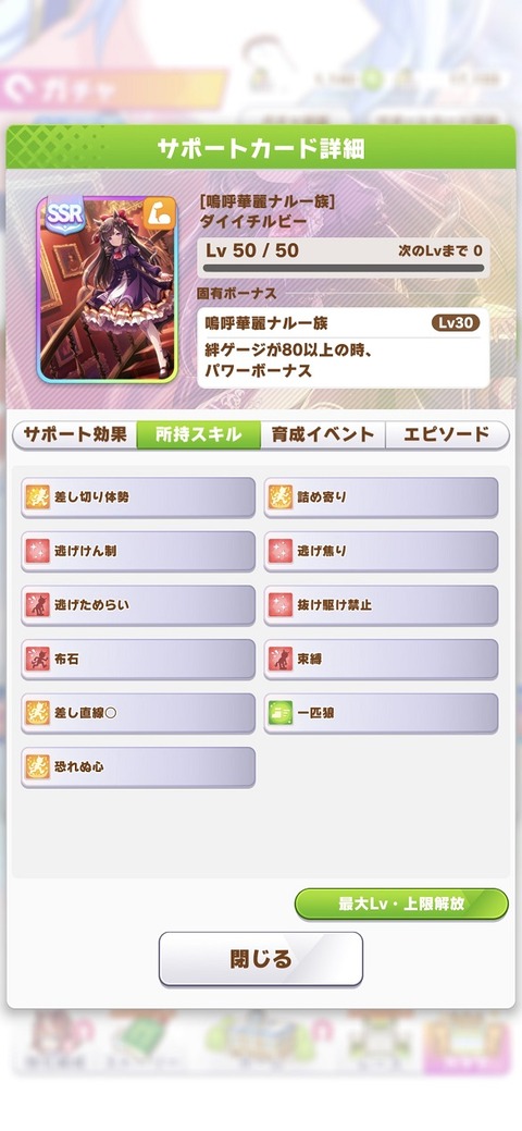ウマ娘 サポート SSRダイイチルビー 3