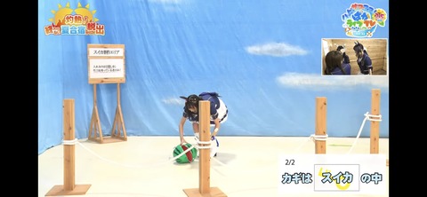ぱかライブTV vol.32 51