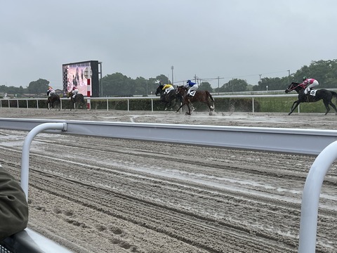 笠松競馬場 2022.4.29 感想 15