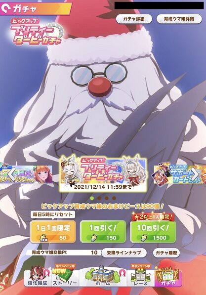 ウマ娘 育成キャラ クリスマスビワハヤヒデ 5