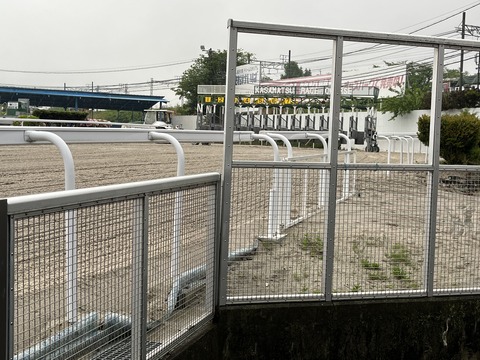 笠松競馬場 2022.4.29 感想 10