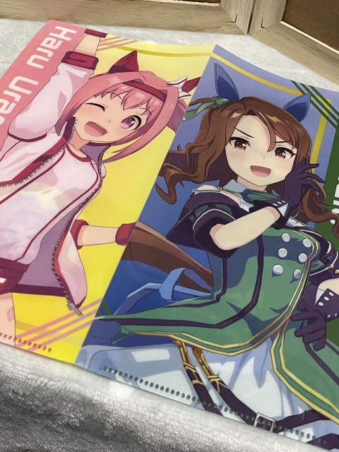 ウマ娘 日記用 購入物 お菓子ファイルパック 2