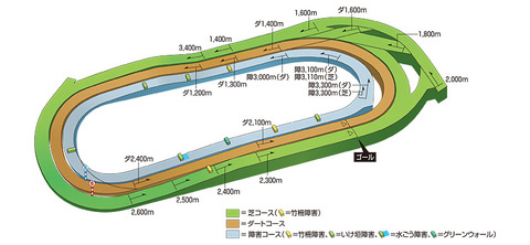 東京競馬場　コース