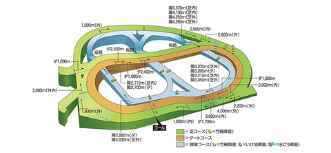 中山競馬場 コース