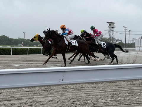 笠松競馬場 2022.4.29 感想 13
