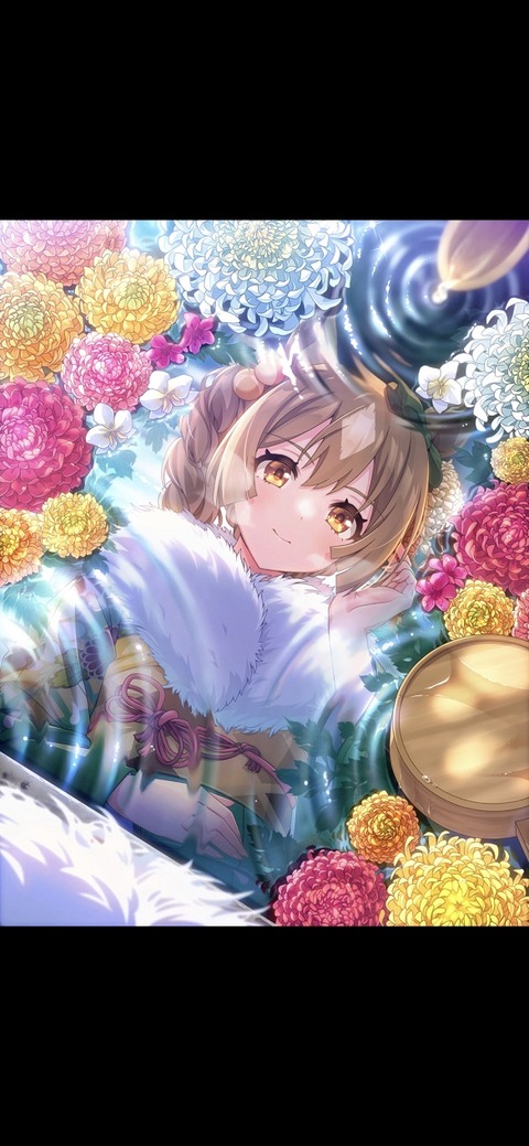 ウマ娘 サポート SSR正月サトノダイヤモンド