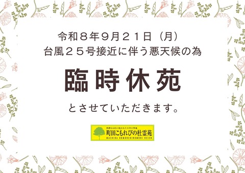ピンク　パターン　貼り紙　臨時休業　A4