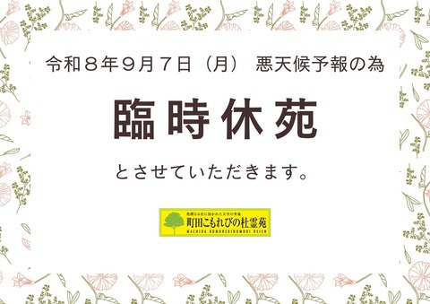 ピンク　パターン　貼り紙　臨時休業　A4